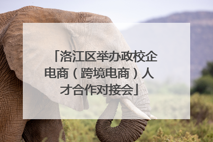 洛江区举办政校企电商（跨境电商）人才合作对接会