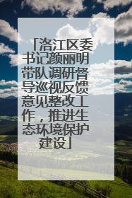 洛江区委书记颜丽明带队调研督导巡视反馈意见整改工作，推进生态环境保护建设