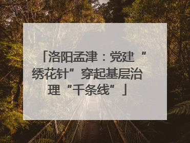 洛阳孟津：党建“绣花针”穿起基层治理“千条线”