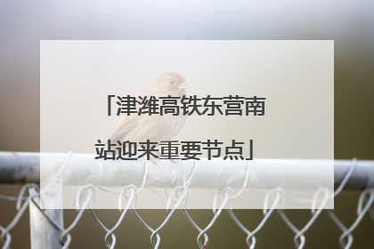 津潍高铁东营南站迎来重要节点