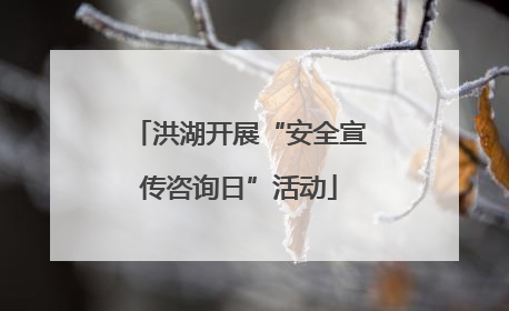 洪湖开展“安全宣传咨询日”活动
