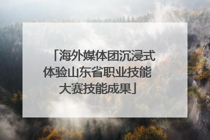 海外媒体团沉浸式体验山东省职业技能大赛技能成果