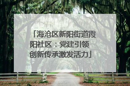 海沧区新阳街道霞阳社区：党建引领 创新传承激发活力