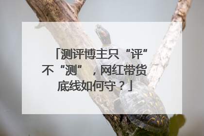 测评博主只“评”不“测”，网红带货底线如何守？