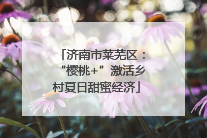 济南市莱芜区：“樱桃+”激活乡村夏日甜蜜经济