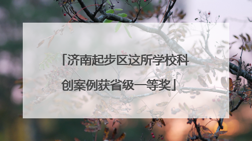 济南起步区这所学校科创案例获省级一等奖