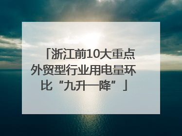 浙江前10大重点外贸型行业用电量环比“九升一降”