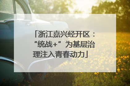 浙江嘉兴经开区：“统战+”为基层治理注入青春动力