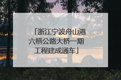 浙江宁波舟山港六横公路大桥一期工程建成通车