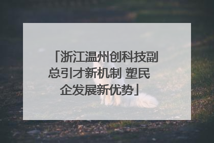 浙江温州创科技副总引才新机制 塑民企发展新优势