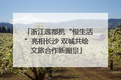 浙江莲都携“慢生活”亮相长沙 双城共绘文旅合作新图景