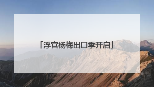 浮宫杨梅出口季开启