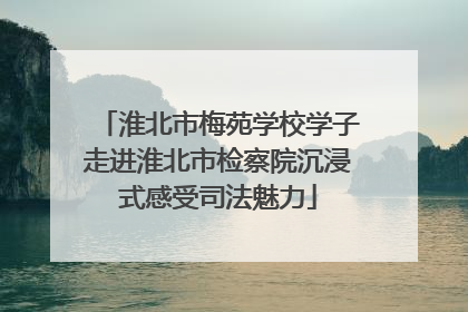 淮北市梅苑学校学子走进淮北市检察院沉浸式感受司法魅力