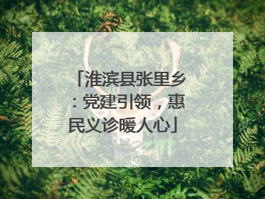淮滨县张里乡：党建引领，惠民义诊暖人心