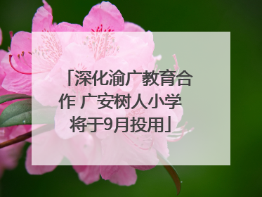 深化渝广教育合作 广安树人小学将于9月投用