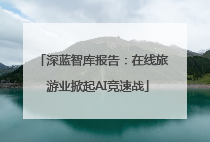 深蓝智库报告：在线旅游业掀起AI竞速战
