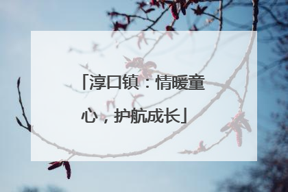 淳口镇：情暖童心，护航成长