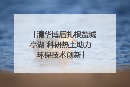 清华博后扎根盐城亭湖 科研热土助力环保技术创新