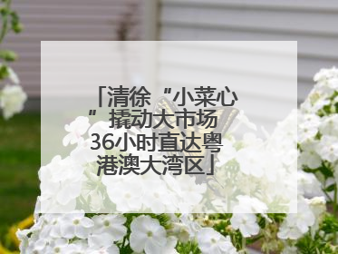 清徐“小菜心”撬动大市场 36小时直达粤港澳大湾区