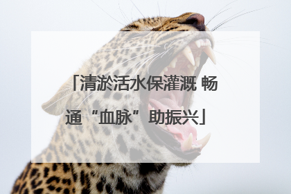 清淤活水保灌溉 畅通“血脉”助振兴