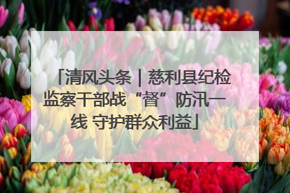 清风头条｜慈利县纪检监察干部战“督”防汛一线 守护群众利益