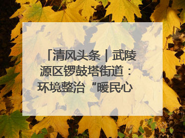 清风头条｜武陵源区锣鼓塔街道：环境整治“暖民心” 辖区面貌“靓”起来