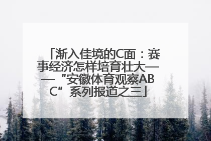 渐入佳境的C面：赛事经济怎样培育壮大——“安徽体育观察ABC”系列报道之三