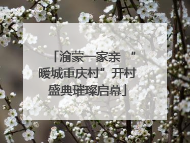 渝蒙一家亲 “暖城重庆村”开村盛典璀璨启幕