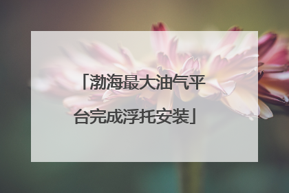 渤海最大油气平台完成浮托安装