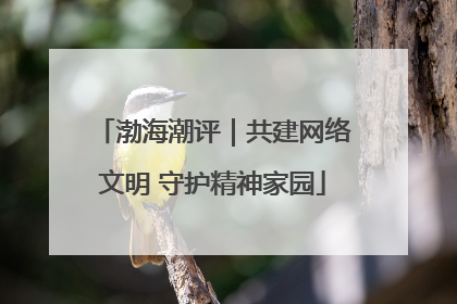 渤海潮评｜共建网络文明 守护精神家园