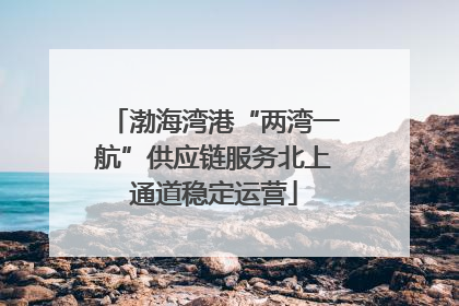 渤海湾港“两湾一航”供应链服务北上通道稳定运营