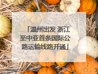 温州出发 浙江至中亚首条国际公路运输线路开通