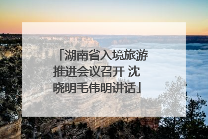 湖南省入境旅游推进会议召开 沈晓明毛伟明讲话