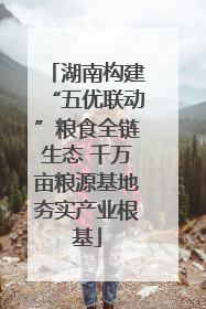 湖南构建“五优联动”粮食全链生态 千万亩粮源基地夯实产业根基