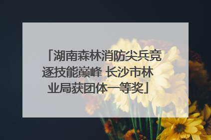 湖南森林消防尖兵竞逐技能巅峰 长沙市林业局获团体一等奖
