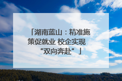 湖南蓝山：精准施策促就业 校企实现“双向奔赴”