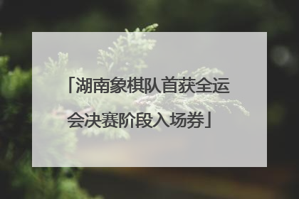 湖南象棋队首获全运会决赛阶段入场券