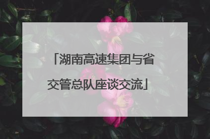 湖南高速集团与省交管总队座谈交流