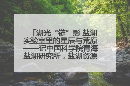 湖光“链”影 盐湖实验室里的星辰与荒原——记中国科学院青海盐湖研究所，盐湖资源化学实验室党总支书记、副主任刘忠