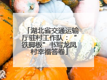 湖北省交通运输厅驻村工作队：“铁脚板”书写龙凤村幸福答卷