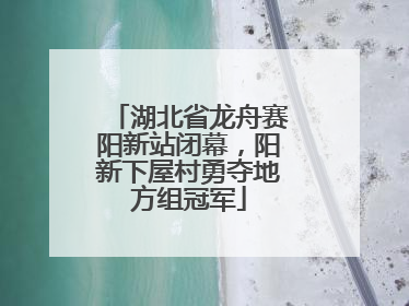 湖北省龙舟赛阳新站闭幕，阳新下屋村勇夺地方组冠军