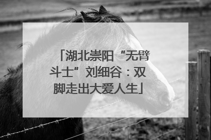 湖北崇阳“无臂斗士”刘细谷：双脚走出大爱人生