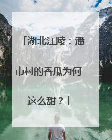 湖北江陵：潘市村的香瓜为何这么甜？