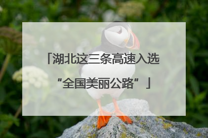 湖北这三条高速入选“全国美丽公路”