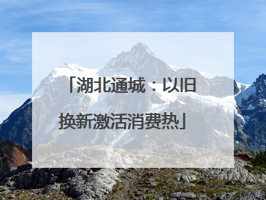 湖北通城：以旧换新激活消费热