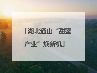 湖北通山“甜蜜产业”焕新机