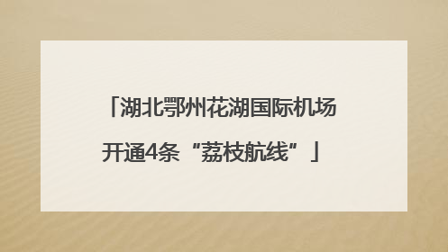 湖北鄂州花湖国际机场开通4条“荔枝航线”