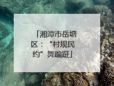 湘潭市岳塘区：“村规民约”舞蹁跹