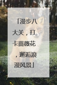 漫步八大关，打卡蔷薇花，邂逅浪漫风景