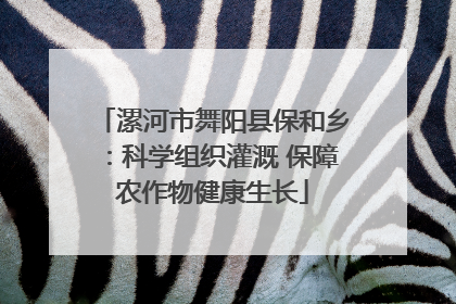 漯河市舞阳县保和乡：科学组织灌溉 保障农作物健康生长